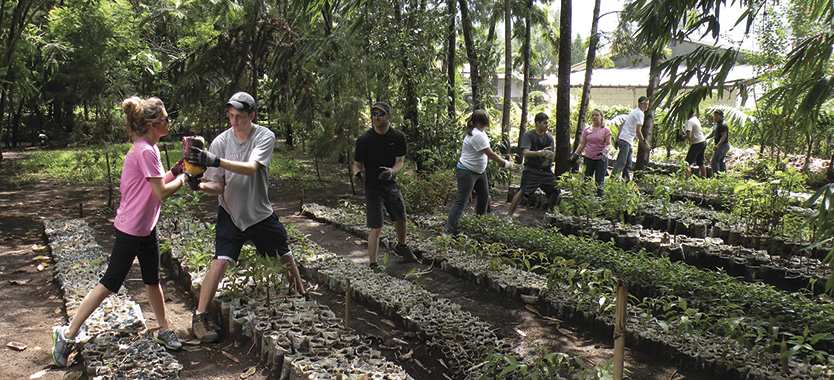 Students working in the garden